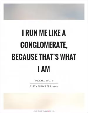 I run me like a conglomerate, because that’s what I am Picture Quote #1
