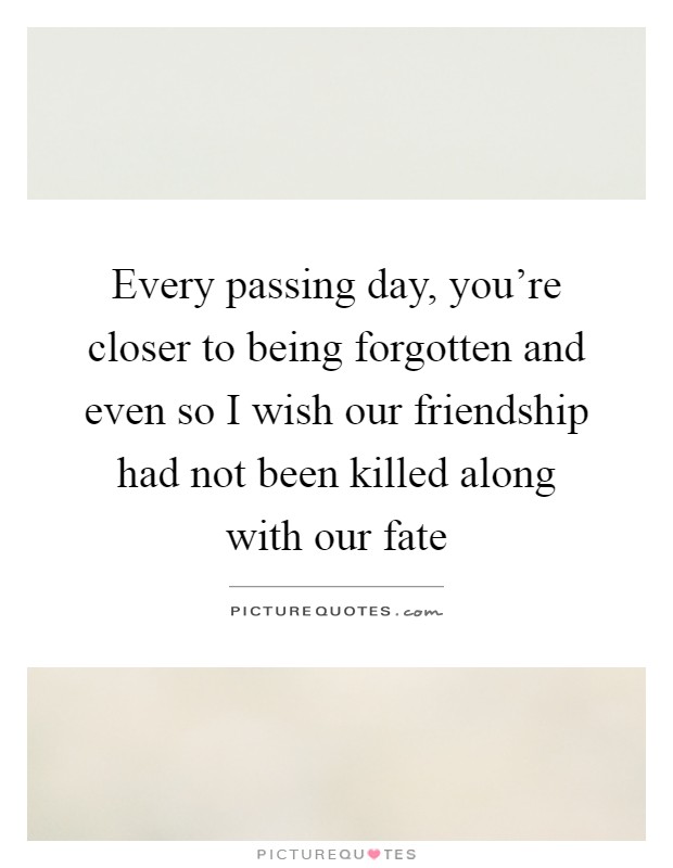 Every passing day, you're closer to being forgotten and even so I wish our friendship had not been killed along with our fate Picture Quote #1