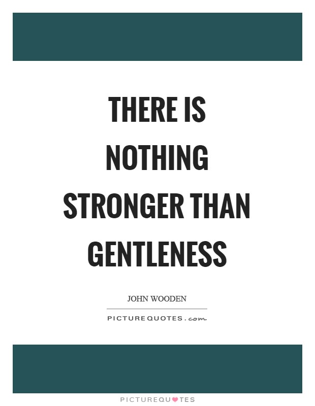 There is nothing stronger than gentleness Picture Quote #1
