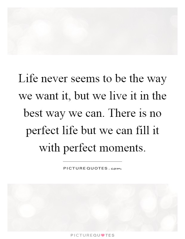 Life never seems to be the way we want it, but we live it in the best way we can. There is no perfect life but we can fill it with perfect moments Picture Quote #1