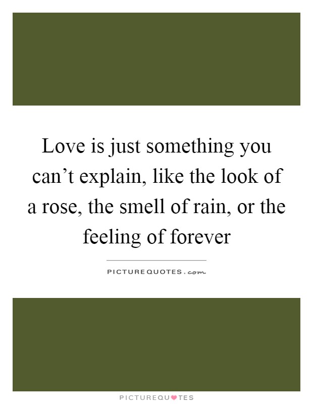 Love is just something you can't explain, like the look of a rose, the smell of rain, or the feeling of forever Picture Quote #1