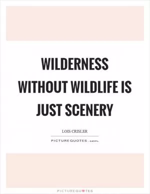 Wilderness without wildlife is just scenery Picture Quote #1