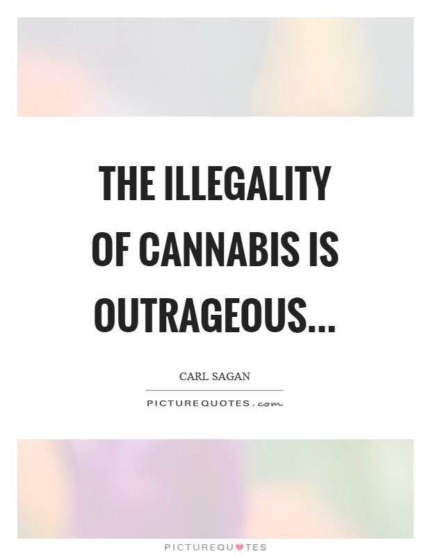 The illegality of cannabis is outrageous Picture Quote #1