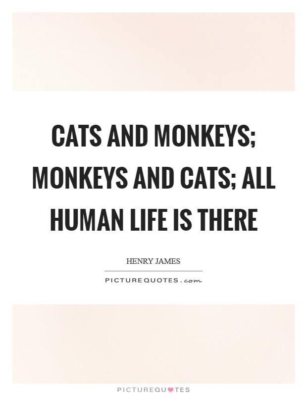 Cats and monkeys; monkeys and cats; all human life is there Picture Quote #1