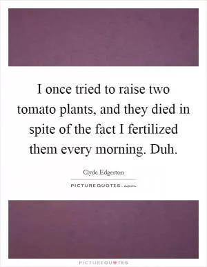 I once tried to raise two tomato plants, and they died in spite of the fact I fertilized them every morning. Duh Picture Quote #1