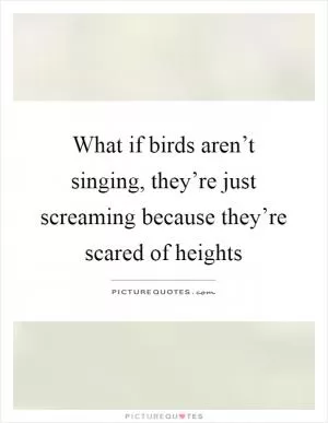 What if birds aren’t singing, they’re just screaming because they’re scared of heights Picture Quote #1