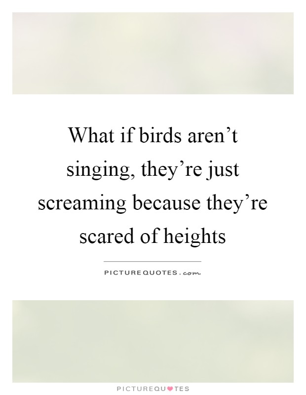 What if birds aren't singing, they're just screaming because they're scared of heights Picture Quote #1
