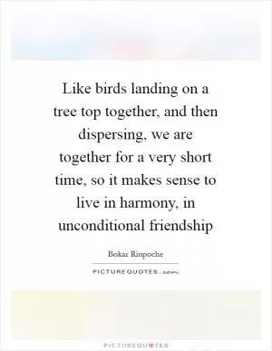 Like birds landing on a tree top together, and then dispersing, we are together for a very short time, so it makes sense to live in harmony, in unconditional friendship Picture Quote #1