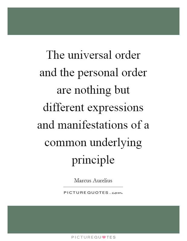 The universal order and the personal order are nothing but different expressions and manifestations of a common underlying principle Picture Quote #1