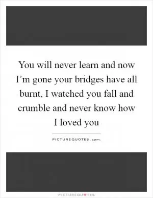 You will never learn and now I’m gone your bridges have all burnt, I watched you fall and crumble and never know how I loved you Picture Quote #1