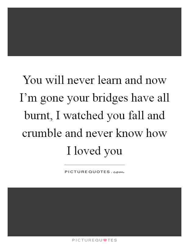 You will never learn and now I'm gone your bridges have all burnt, I watched you fall and crumble and never know how I loved you Picture Quote #1