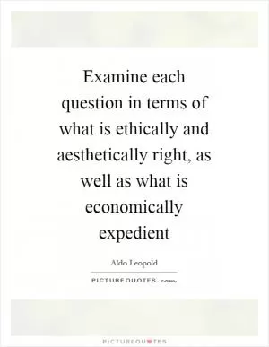 Examine each question in terms of what is ethically and aesthetically right, as well as what is economically expedient Picture Quote #1