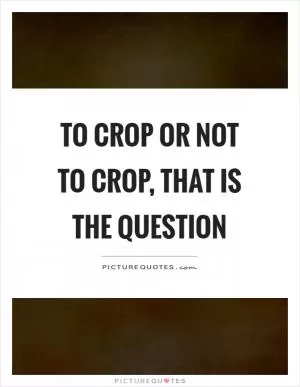 To crop or not to crop, that is the question Picture Quote #1