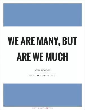 We are many, but are we much Picture Quote #1