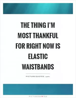 The thing I’m most thankful for right now is elastic waistbands Picture Quote #1