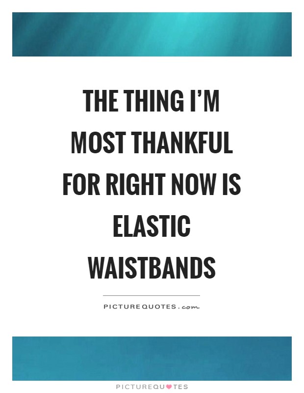 The thing I'm most thankful for right now is elastic waistbands Picture Quote #1