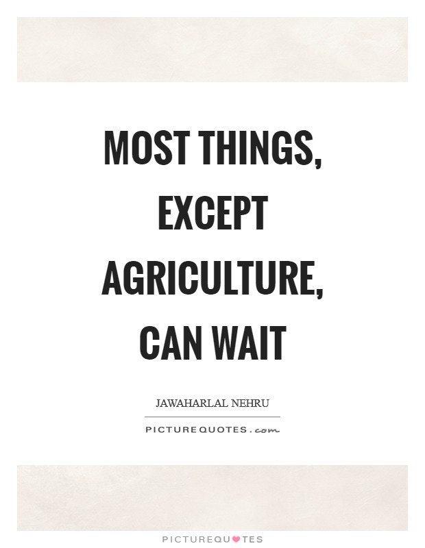 Most things, except agriculture, can wait Picture Quote #1
