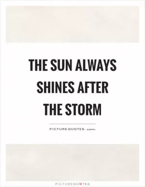 The sun always shines after the storm Picture Quote #1