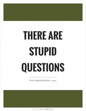 There are stupid questions Picture Quote #1