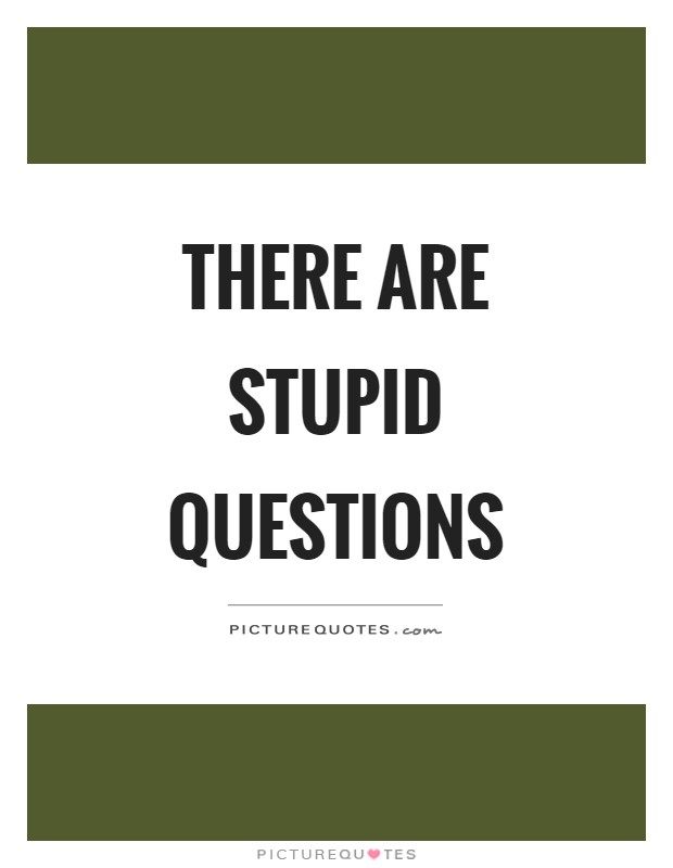 There are stupid questions Picture Quote #1