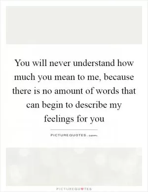 You will never understand how much you mean to me, because there is no amount of words that can begin to describe my feelings for you Picture Quote #1