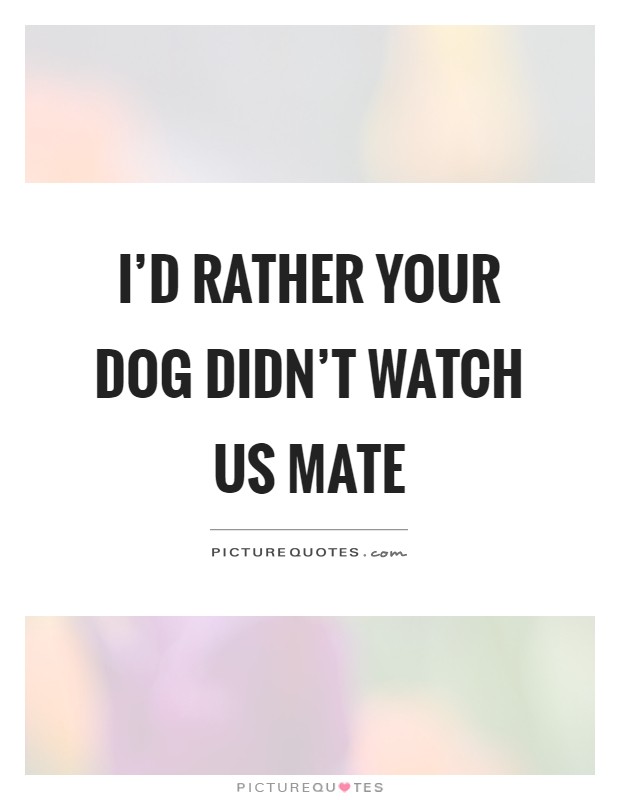 I'd rather your dog didn't watch us mate Picture Quote #1
