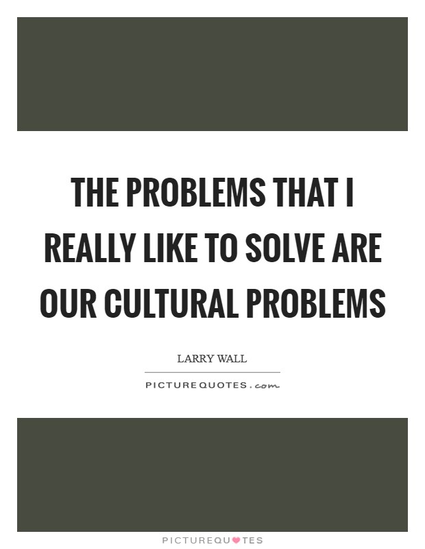 The problems that I really like to solve are our cultural problems Picture Quote #1