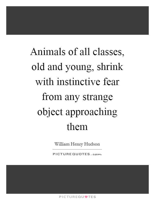 Animals of all classes, old and young, shrink with instinctive fear from any strange object approaching them Picture Quote #1