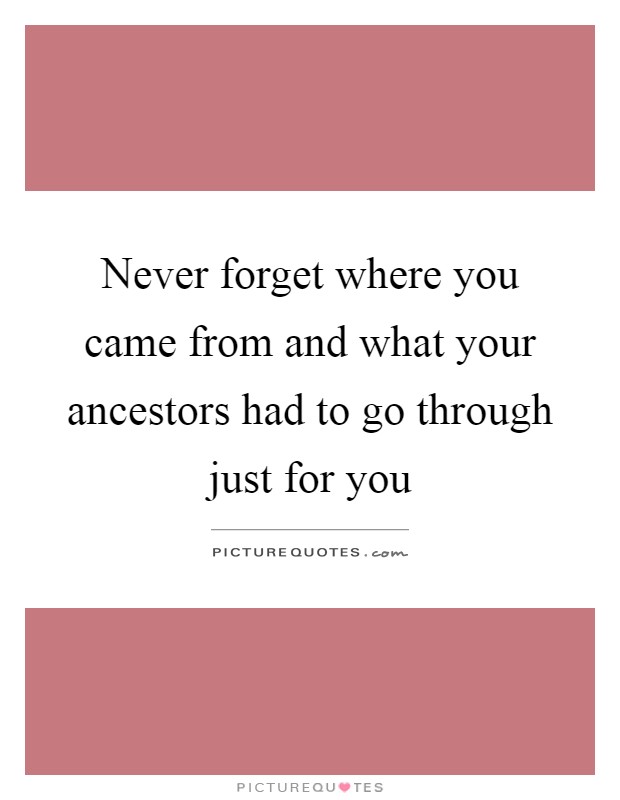 Never forget where you came from and what your ancestors had to go through just for you Picture Quote #1