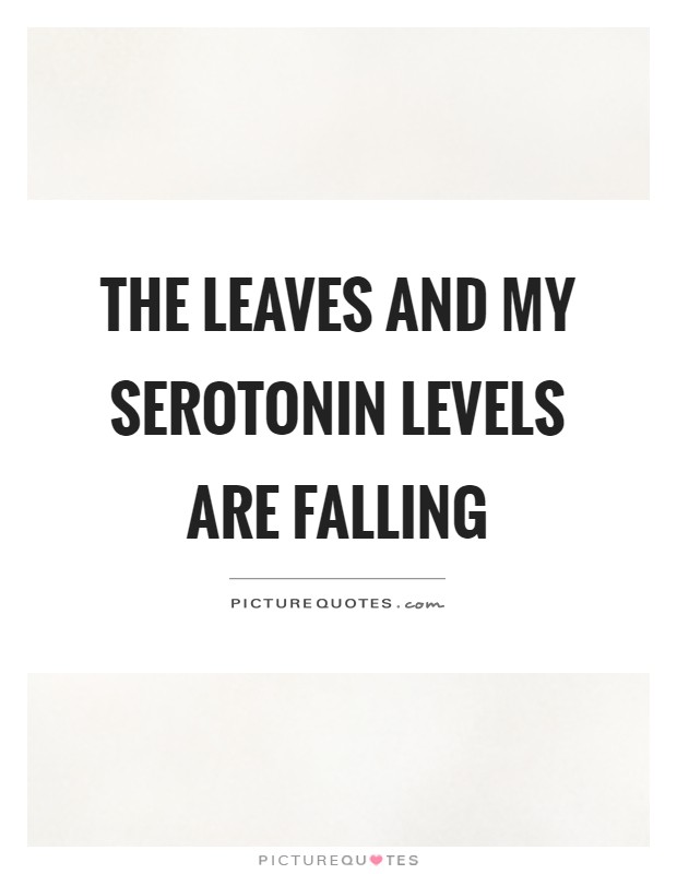 The leaves and my serotonin levels are falling Picture Quote #1
