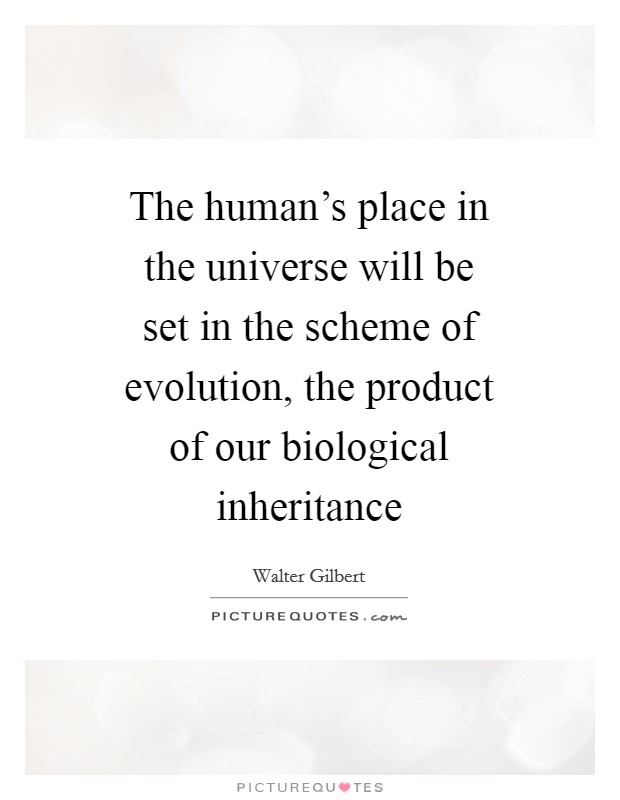 The human's place in the universe will be set in the scheme of evolution, the product of our biological inheritance Picture Quote #1