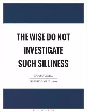 The wise do not investigate such silliness Picture Quote #1