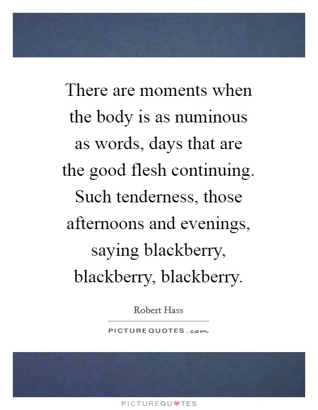 There are moments when the body is as numinous as words, days that are the good flesh continuing. Such tenderness, those afternoons and evenings, saying blackberry, blackberry, blackberry Picture Quote #1