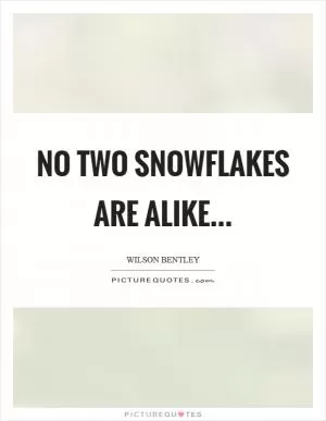 No two snowflakes are alike Picture Quote #1