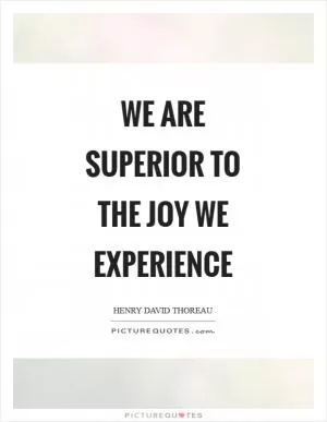 We are superior to the joy we experience Picture Quote #1