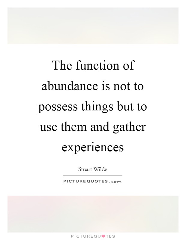The function of abundance is not to possess things but to use them and gather experiences Picture Quote #1