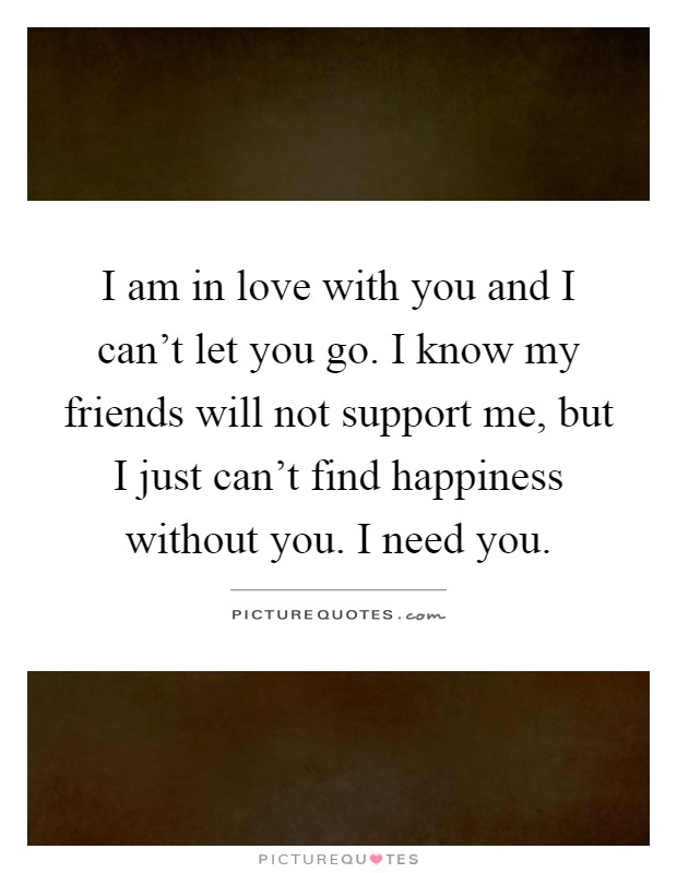 I am in love with you and I can't let you go. I know my friends will not support me, but I just can't find happiness without you. I need you Picture Quote #1
