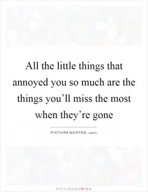 All the little things that annoyed you so much are the things you’ll miss the most when they’re gone Picture Quote #1