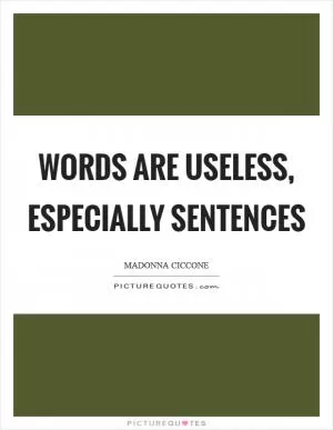 Words are useless, especially sentences Picture Quote #1