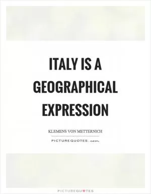 Italy is a geographical expression Picture Quote #1