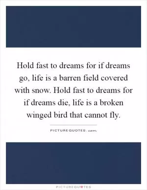 Hold fast to dreams for if dreams go, life is a barren field covered with snow. Hold fast to dreams for if dreams die, life is a broken winged bird that cannot fly Picture Quote #1