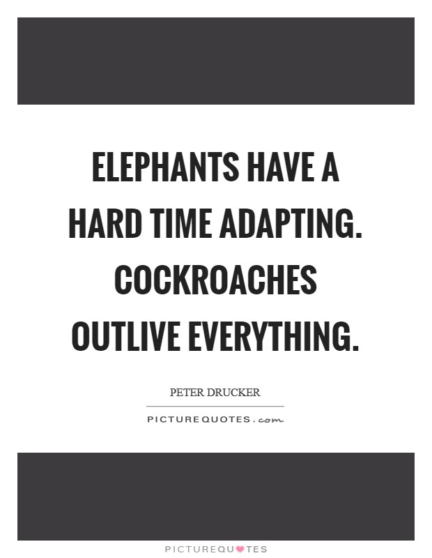 Elephants have a hard time adapting. Cockroaches outlive everything Picture Quote #1