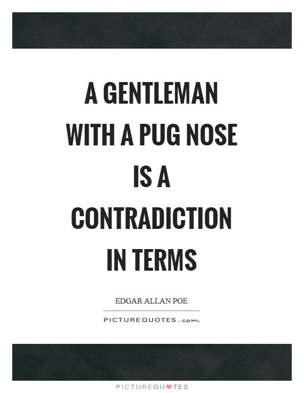 A gentleman with a pug nose is a contradiction in terms Picture Quote #1