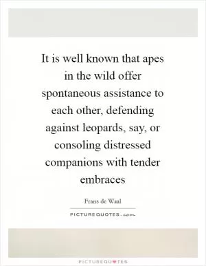It is well known that apes in the wild offer spontaneous assistance to each other, defending against leopards, say, or consoling distressed companions with tender embraces Picture Quote #1