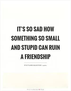 It’s so sad how something so small and stupid can ruin a friendship Picture Quote #1