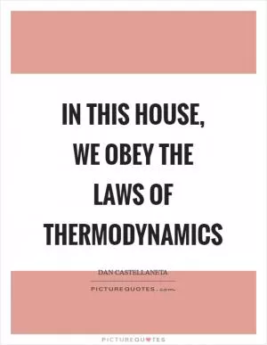 In this house, we obey the laws of thermodynamics Picture Quote #1