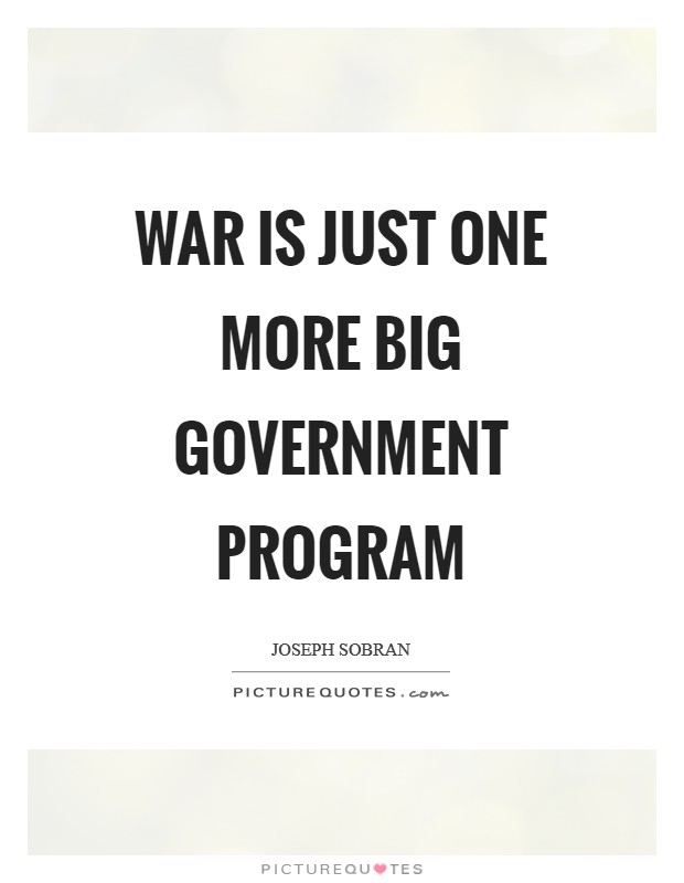 War is just one more big government program Picture Quote #1