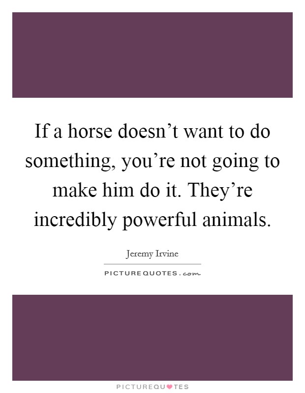 If a horse doesn't want to do something, you're not going to make him do it. They're incredibly powerful animals Picture Quote #1