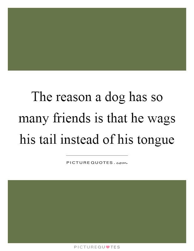 The reason a dog has so many friends is that he wags his tail instead of his tongue Picture Quote #1