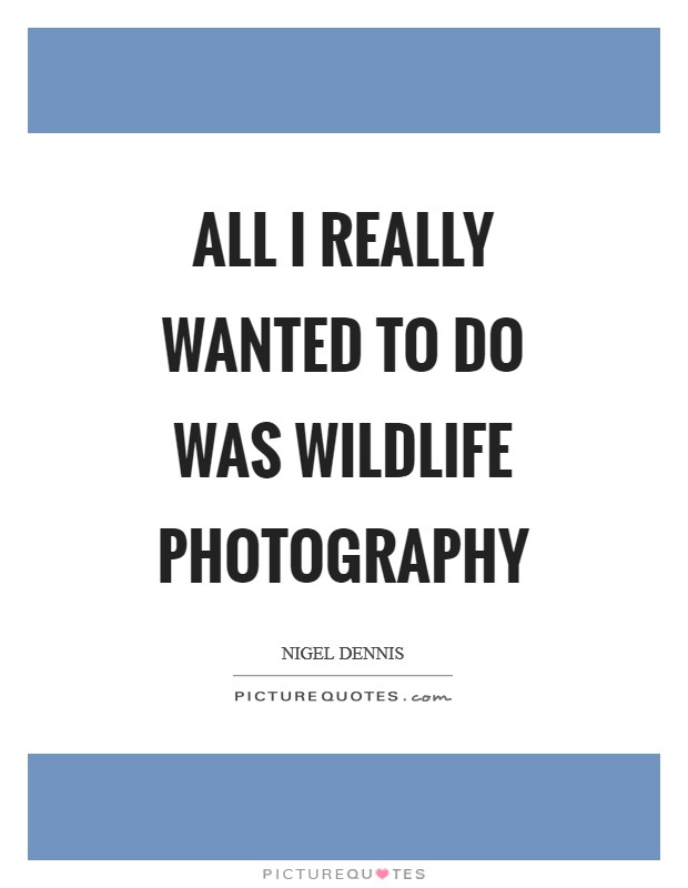 All I really wanted to do was wildlife photography Picture Quote #1